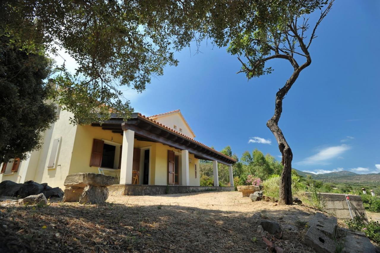 Lierus B&B Gonnosfanadiga Экстерьер фото